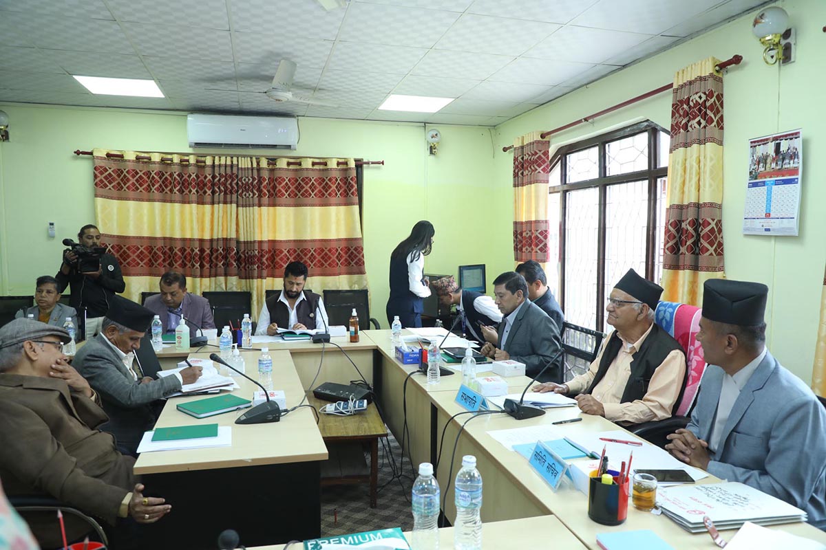 सुशासन समितिको बैठक (1)1684224134.JPG